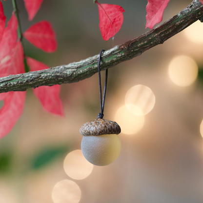 My Secret Find: The Acorn Ornament Collection.